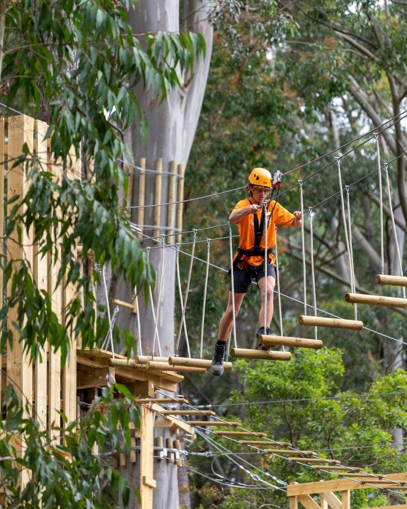 Tree Climb Kuitpo Forest High tree top climbing across wooden and wire suspended obstacle course.