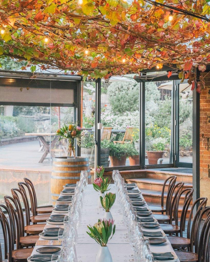 Coriole restaurant with dining table set with protea flowers and a glory vine with autumn colour above teh table