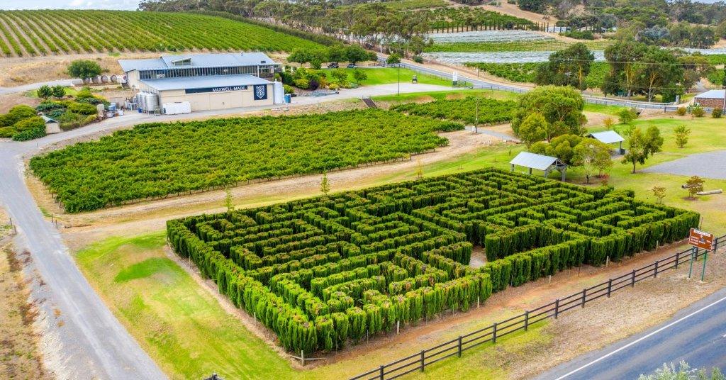 Maxwells maze and winery with vinyards running over hillsides