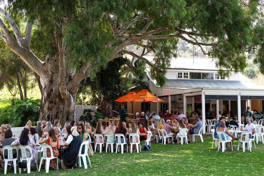 Where to eat in McLaren Vale - outdoor dining at Pizzateca restaurant under a large gumtree a large group of people seated on white plastic outdoor chairs